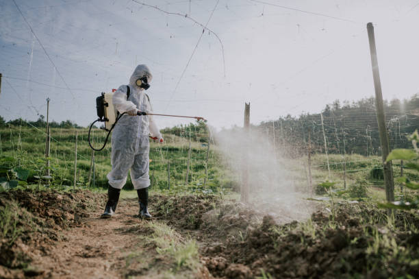 Best Ant Control Services  in Brent, AL