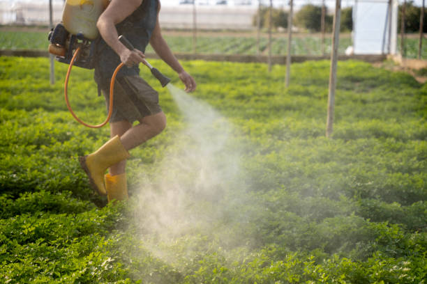 Best Insect Control  in Brent, AL