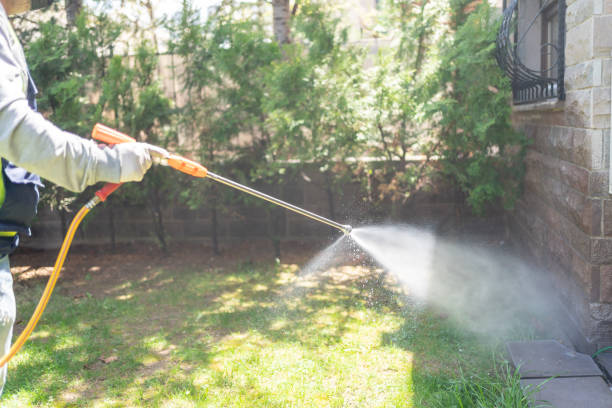Best Wasp Removal Services  in Brent, AL