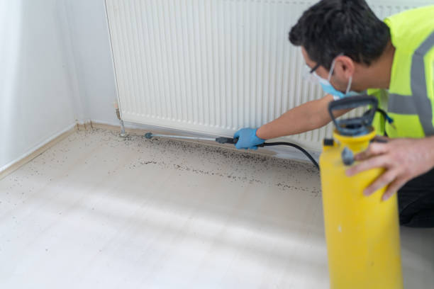 Best Pest Control for Businesses  in Brent, AL
