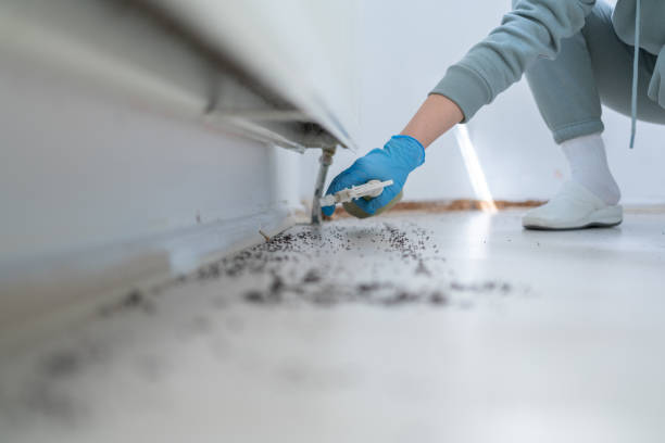Best Residential Pest Control  in Brent, AL