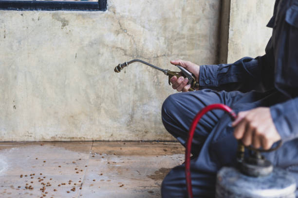 Best Mosquito Control Services  in Brent, AL